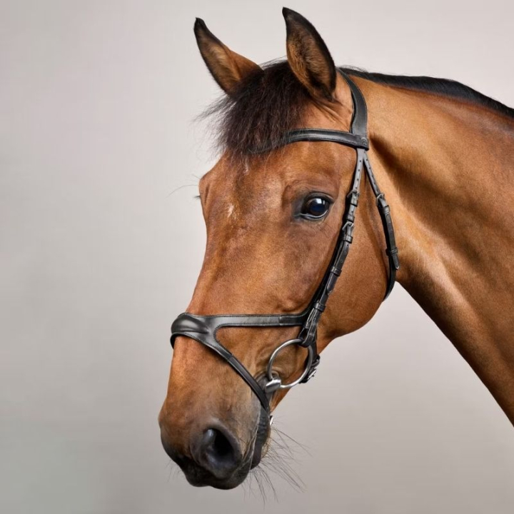 Ogłowie anatomiczne X-Fit NE Czarne w grupie Sprzęt dla konia / Ogłowia i naczółki / Ogłowia przy Equinest (NECCCDSv_r)