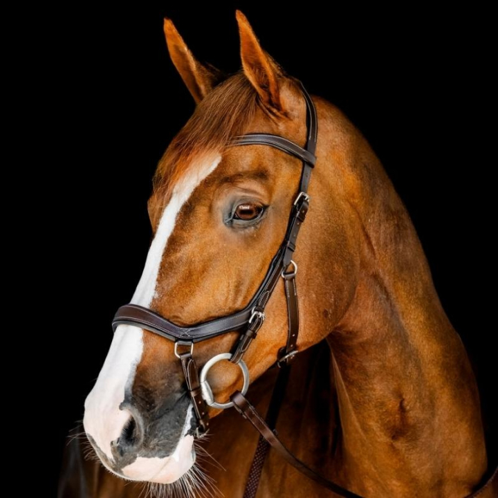 Ogłowie Micklem Competition Ciemny Brąz w grupie Sprzęt dla konia / Ogłowia i naczółki / Ogłowia przy Equinest (SBMBN1NABDBR_r)