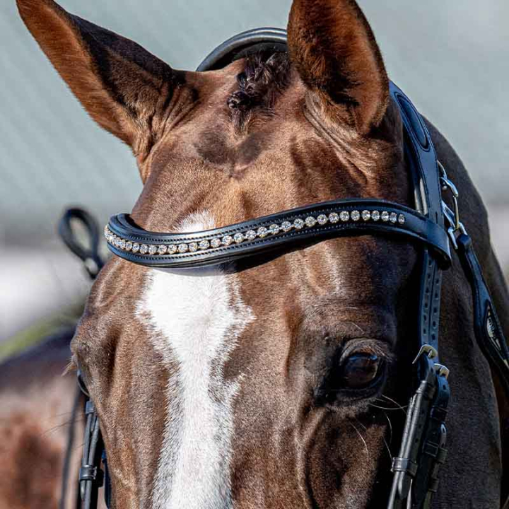 Naczółek Strass U Czarny w grupie Sprzęt dla konia / Ogłowia i naczółki / Naczółki przy Equinest (SC013PBB0425BA)