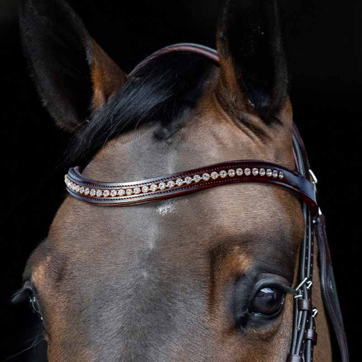 Naczółek Strass U Brązowy w grupie Sprzęt dla konia / Ogłowia i naczółki / Naczółki przy Equinest (SC013PBB0425BR)