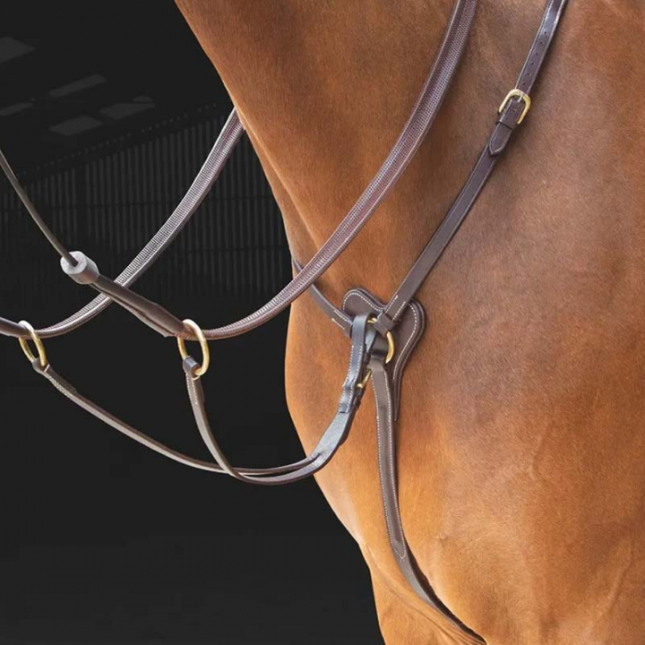 Napierśnik Salisbury Brązowy w grupie Sprzęt dla konia / Wytoki i napierśniki / Napierśniki przy Equinest (SH29401Br_r)