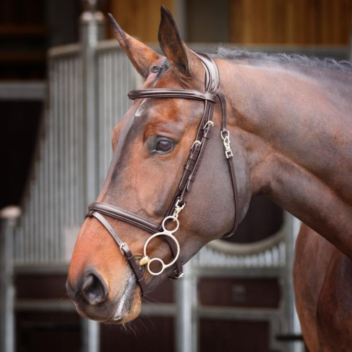 Ogłowie Quick Release Rapida Brązowe w grupie Sprzęt dla konia / Ogłowia i naczółki / Ogłowia przy Equinest (SH512503BR_r)