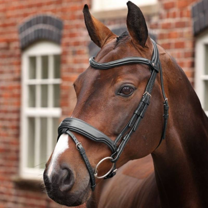 Ogłowie z szerokim nachrapnikiem LUSSO Opus 180M Czarne w grupie Sprzęt dla konia / Ogłowia i naczółki / Ogłowia przy Equinest (SH515801BA_r)