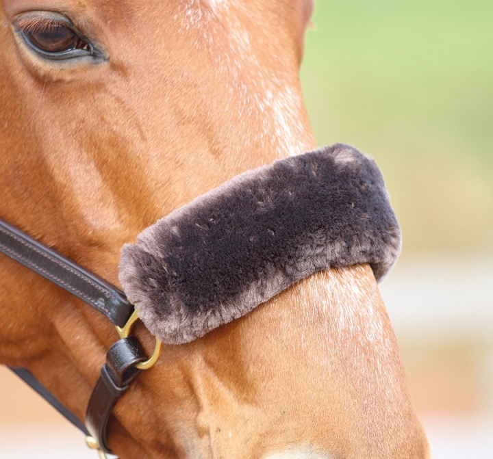 Futerko na nachrapnik Brązowe w grupie Sprzęt dla konia / Ogłowia i naczółki / Futerka ochronne do ogłowia przy Equinest (SH5243BR)
