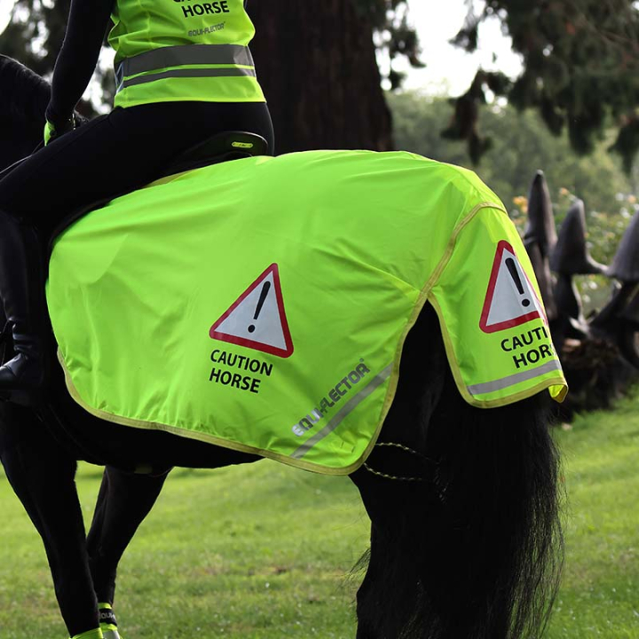 Derka lędźwiowa Mesh Reflex Żółta w grupie Sprzęt dla jeźdźca / Odblaski i refleksy przy Equinest (SH940842Gu_r)