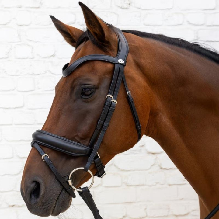 Ogłowie ujeżdżeniowe Medium Nachrapnik Soft Collection Czarne w grupie Sprzęt dla konia / Ogłowia i naczółki / Ogłowia ujeżdżeniowe przy Equinest (SO1000201BA_r)