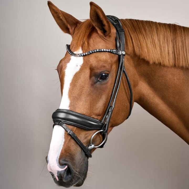 Ogłowie ujeżdżeniowe Szeroki Nachrapnik Soft Collection Czarne w grupie Sprzęt dla konia / Ogłowia i naczółki / Ogłowia ujeżdżeniowe przy Equinest (SO1000301BA_r)