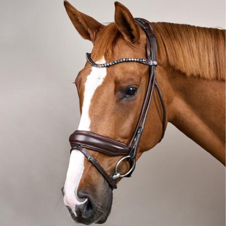 Ogłowie ujeżdżeniowe Szeroki Nachrapnik Soft Collection Brązowe w grupie Sprzęt dla konia / Ogłowia i naczółki / Ogłowia ujeżdżeniowe przy Equinest (SO1000305BR_r)