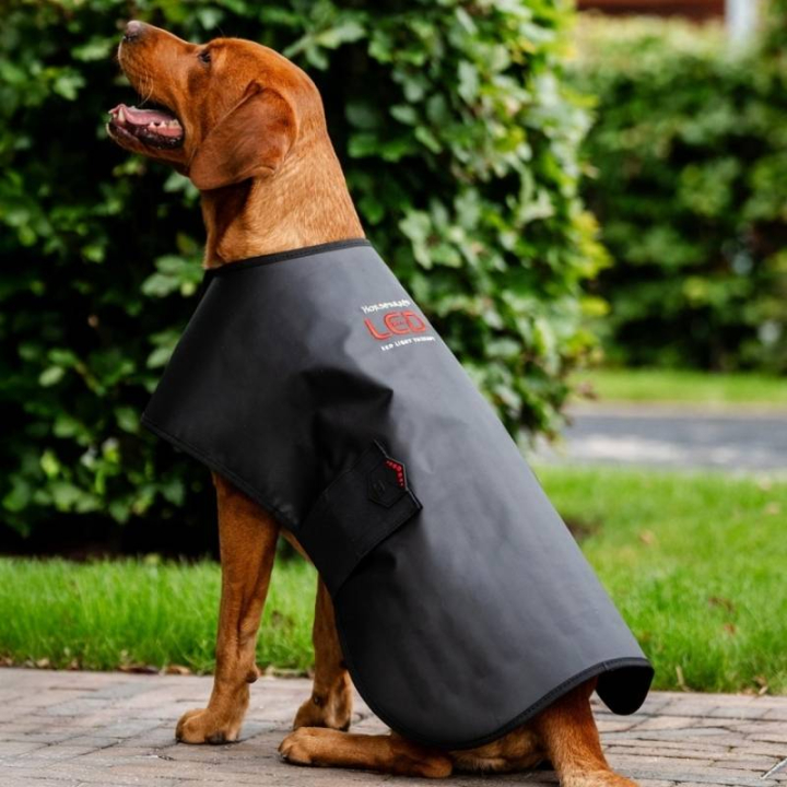 Derka terapeutyczna dla psa LED Red Light Therapy w grupie Pies / Derki i sweterki dla psa przy Equinest (TLHCT1KK0BA-M)