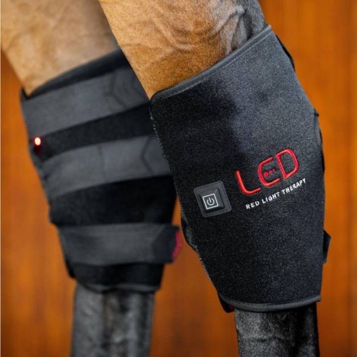 Ochraniacz terapeutyczny stawu skokowego LED Red Light Therapy w grupie Pielęgnacja i zdrowie / Masaż i krążenie krwi przy Equinest (TLHHT1KK0BA_r)