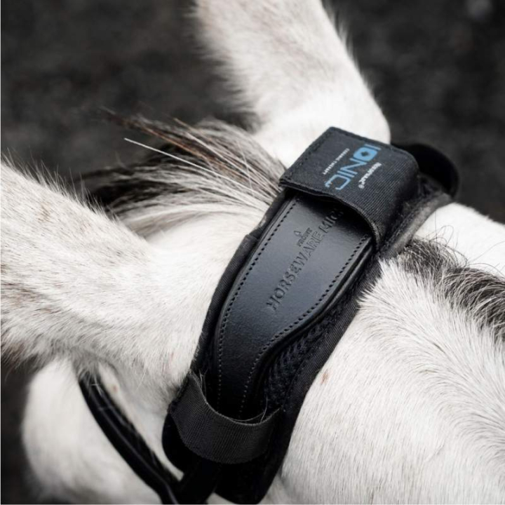 Pad na potylicę Ionic Therapy Czarny w grupie Sprzęt dla konia / Ogłowia i naczółki / Akcesoria do ogłowia  przy Equinest (TQHJNNK00BA)