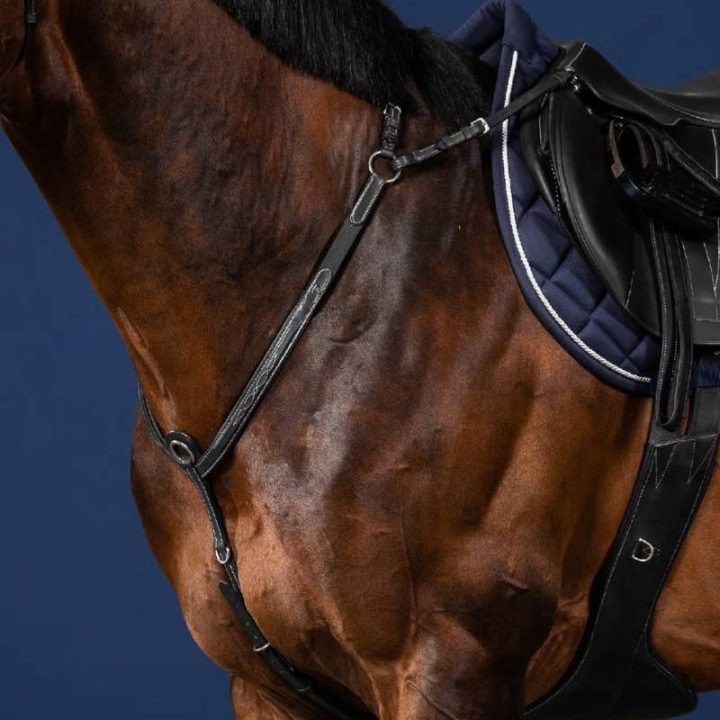 Napierśnik z mostkiem US Collection Czarny w grupie Sprzęt dla konia / Wytoki i napierśniki / Napierśniki przy Equinest (US06DBLCBA_r)
