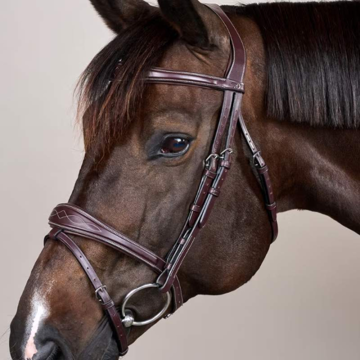 Anatomiczne Ogłowie Kombinowane US Collection Brązowe w grupie Sprzęt dla konia / Ogłowia i naczółki / Ogłowia przy Equinest (USABABBRCBR_r)