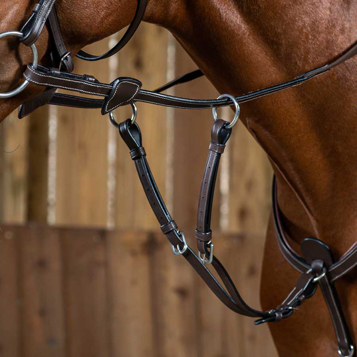 Krótki wytok WC Brązowy w grupie Sprzęt dla konia / Wytoki i napierśniki / Wytoki przy Equinest (WO07ABr_r)