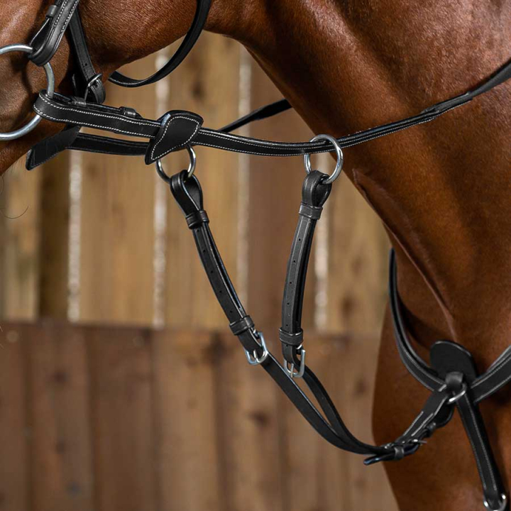 Krótki wytok WC Czarny w grupie Sprzęt dla konia / Wytoki i napierśniki / Wytoki przy Equinest (WO07ASv_r)