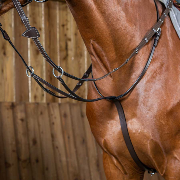 Wytok WC Brązowy w grupie Sprzęt dla konia / Wytoki i napierśniki / Wytoki przy Equinest (WO07GBr_r)