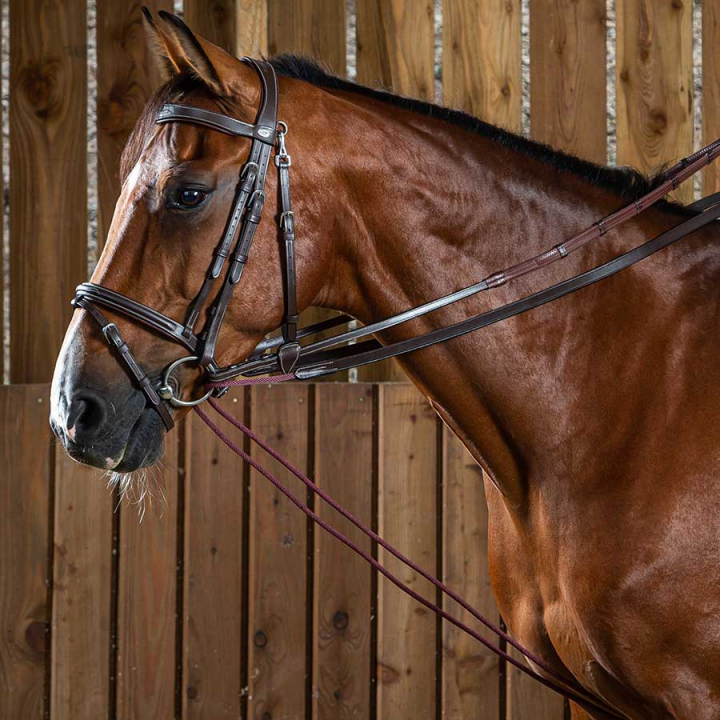 Czarna wodza linowo/skórzana WC Brązowa w grupie Sprzęt dla konia / Wodze / Wypinacze i wodze pomocnicze przy Equinest (WO08BBr_r)