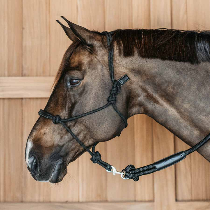 Kantar sznurkowy Training WBD Czarny w grupie Sprzęt dla konia / Kantary / Kantary sznurkowe przy Equinest (WO09CBLCBA_r)