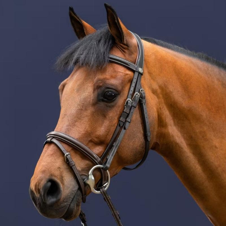 Ogłowie Classic kombinacyjne WC Brązowe w grupie Sprzęt dla konia / Ogłowia i naczółki / Ogłowia przy Equinest (WOAAHLBr_r)