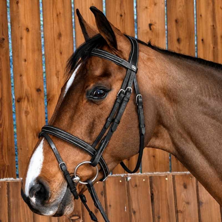 Ogłowie Classic kombinacyjne WC Czarne w grupie Sprzęt dla konia / Ogłowia i naczółki / Ogłowia przy Equinest (WOAAHLSv_r)
