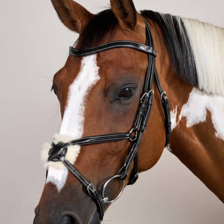 Ogłowie meksykańskie WC Czarne w grupie Sprzęt dla konia / Ogłowia i naczółki / Ogłowia przy Equinest (WOAQHCSv_r)