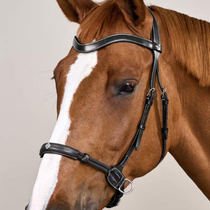 Ogłowie bezwędzidłowe Working Collection Czarne w grupie Sprzęt dla konia / Ogłowia i naczółki / Hackamore i ogłowia bezwędzidłowe przy Equinest (WOCCXVBLCBA_r)