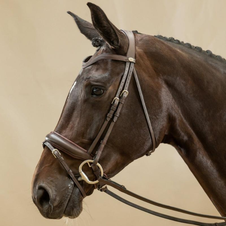 Ogłowie ujeżdżeniowe Matt Working Collection Brązowe w grupie Sprzęt dla konia / Ogłowia i naczółki / Ogłowia ujeżdżeniowe przy Equinest (WODCAMBRCBR_r)