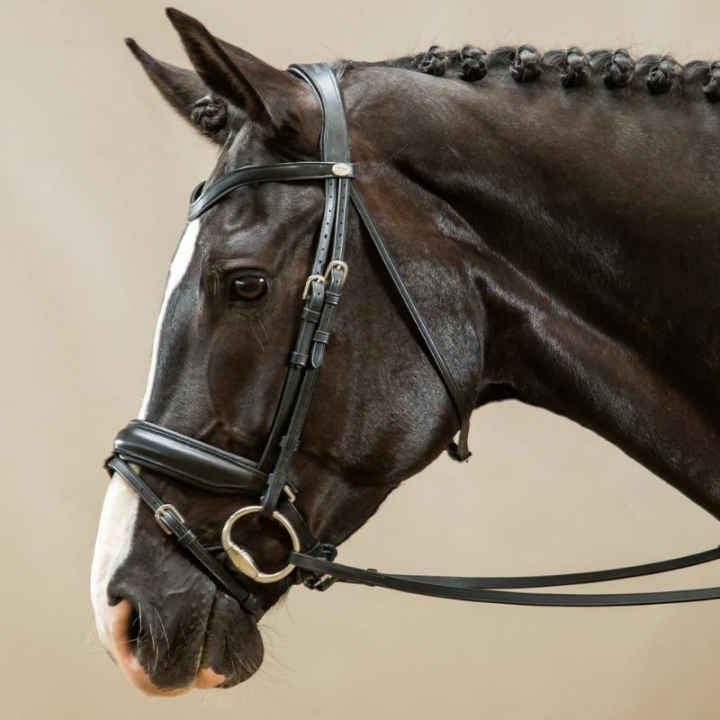 Ogłowie ujeżdżeniowe Matt Working Collection Czarne w grupie Sprzęt dla konia / Ogłowia i naczółki / Ogłowia ujeżdżeniowe przy Equinest (WODCAMSv_r)