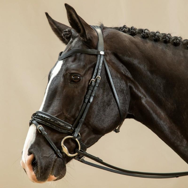 Ogłowie ujeżdżeniowe lakierowane Working Collection Czarne w grupie Sprzęt dla konia / Ogłowia i naczółki / Ogłowia ujeżdżeniowe przy Equinest (WODCANSv_r)