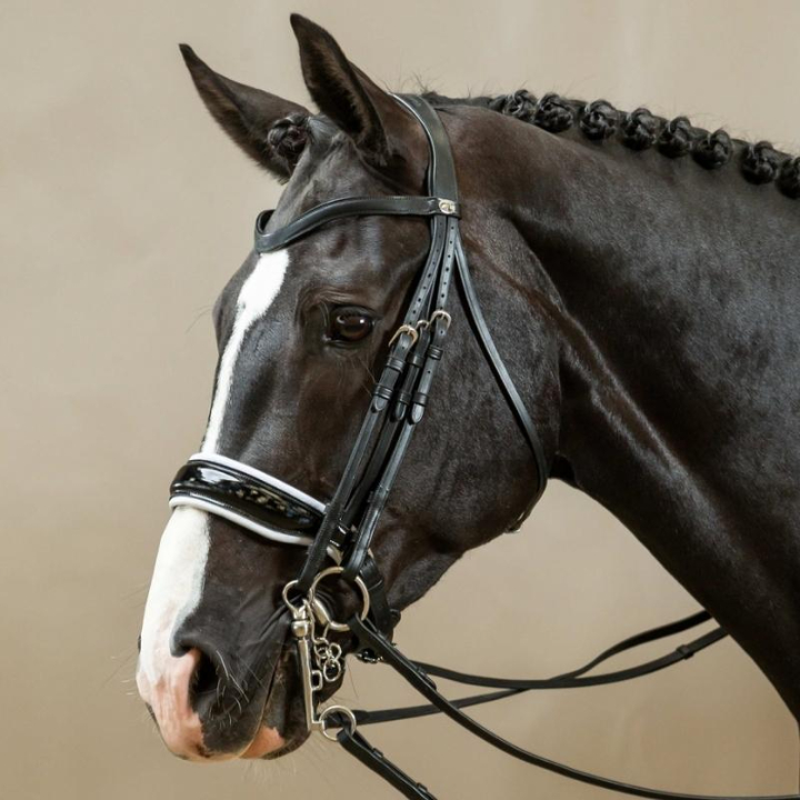 Ogłowie munsztukowe Working Collection Czarno/Białe w grupie Sprzęt dla konia / Ogłowia i naczółki / Ogłowia ujeżdżeniowe przy Equinest (WOECATSv_r)