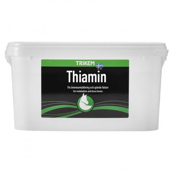 Tiamina 4000g
