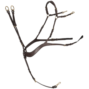 Napierśnik Anatomiczny z Martingale Czekoladowy/Złoty