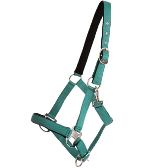 Kantar Double Buckle Turkusowy
