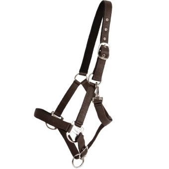 Kantar Double Buckle Brązowy