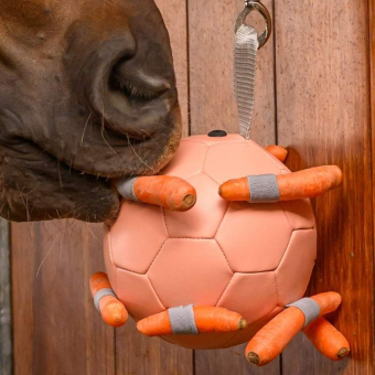 Zabawka dla konia Carrot Ball Różowa