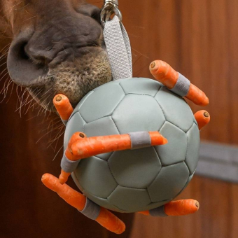 Zabawka dla konia Carrot Ball Zielona