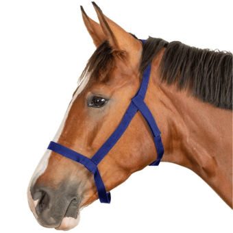 Kantar pastwiskowy Grazing Granatowy