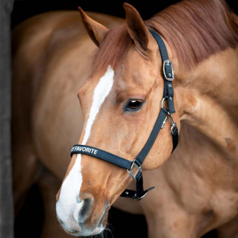 Wiązanie Malva HG Czarny