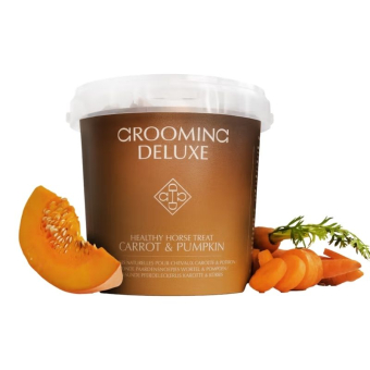 Smakołyki Healthy Horse Treats Carrot & Pumpkin 500g