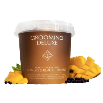 Smakołyki Healthy Horse Treats Mango & Blackcurrant 500g