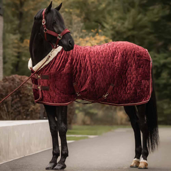 Derka konkursowa Velvet Bordowa