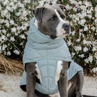 Derka dla psa Winter Pina 160g Niebieska