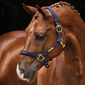 Kantar HS Equestrian Life Granatowy