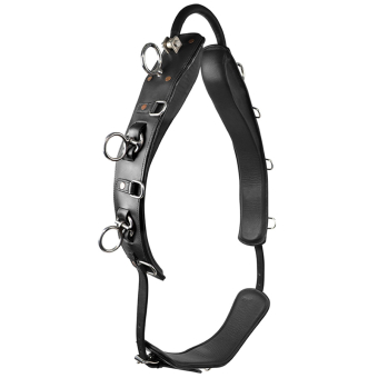 Pas do lonżowania z łukiem HS Czarny