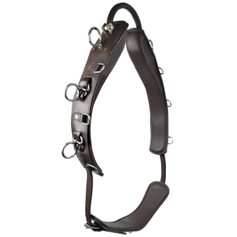 Pas do lonżowania z łukiem HS Brązowy