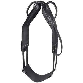 Pas do woltyżerki Leather Czarny