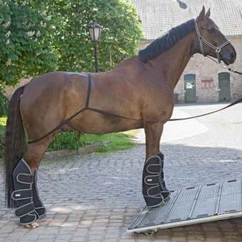 Pas do załadunku Transport Aid  Czarny