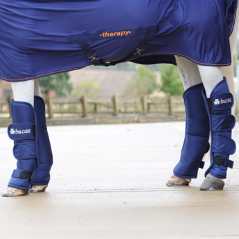 Buty Transportowe Granatowe