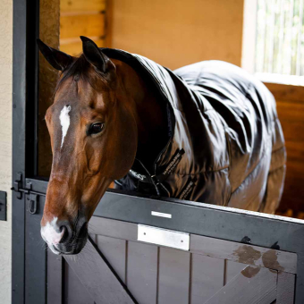 Derka stajenne Amigo Insulator Ripstop 210D Plus 200g Czarny/Srebrny