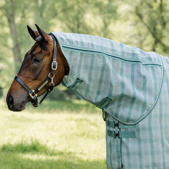 Kaptur Newmarket Witney Dynasty